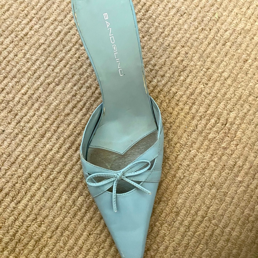 Adorable baby blue dress mule. Great with formal or blue jeans!